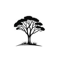 Tree is depicted in black and white on a white background vector