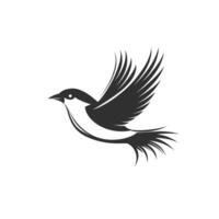Black and white bird with a long tail and wings vector