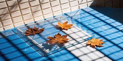 Autumn leaves floating in a clear blue tiled pool. photo