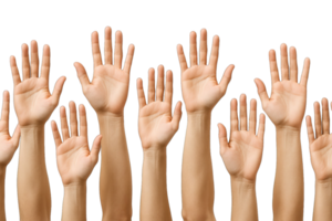 Multiple Human Hands Raised with Open Palms Isolated on Transparent Background, png