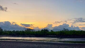 Sunset, view of the mountains from the sea at low tide, the bottom of the sea is exposed and algae and stones come out video
