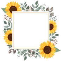 Sunflower frame with leaves and berries, square white space for text or image png