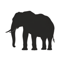 Elephant silhouette standing isolated in profile on a transparent field png