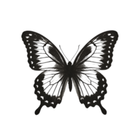 Butterfly silhouette with intricate wing details isolated on a field png