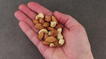 Handful of assorted nuts including almonds, cashews, and walnuts displayed on a neutral background video