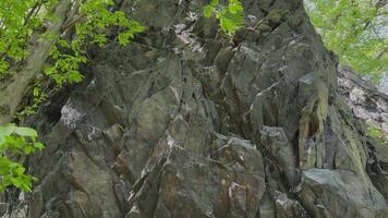 Sharp rocky cliff face surrounded by lush green trees video