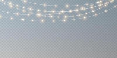 Discover Elegant String Lights Decoration that Perfectly Enhances Ambiance for All Your Festive Events and Celebrations vector