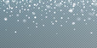 Experience the Beautiful Snowfall Effect, perfect for creating stunning Winter Backgrounds and unique Designs vector