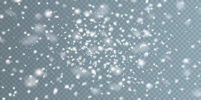 Experience the enchanting Beautiful Snowfall Effect with Soft Blurry Snowflakes gracefully dancing on a Cool Background vector