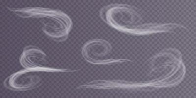 Effects of a Winter Blizzard Swirling Winds and Snow Creating a Unique Atmosphere and Aesthetic Environment vector