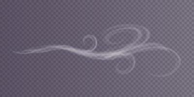 Swirling Wind Patterns, rich in symbolism, evoke deep emotions of a harrowing winter blizzard experience vector