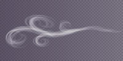 Swirling Snow and Wind Elements for Creating Stunning Winter Blizzard Designs and Artwork Inspiration vector