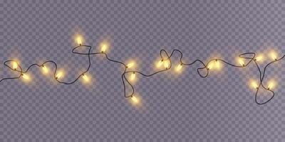 Beautiful Decorative String Lights Perfect for Enhancing Event Decoration and Creating a Cozy Ambiance vector