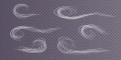 A Winter Blizzard Displaying Beautiful, Swirling Patterns of Snowflakes and Soft, Chilly Wind Effects vector
