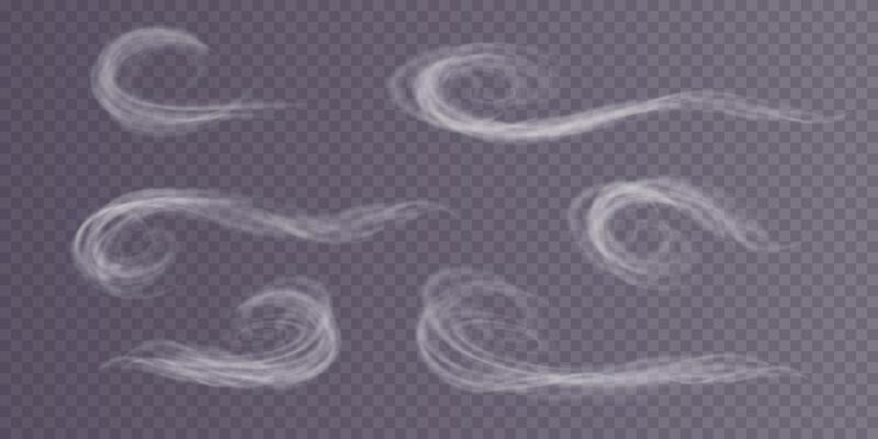 A Winter Blizzard Displaying Beautiful, Swirling Patterns of Snowflakes and Soft, Chilly Wind Effects