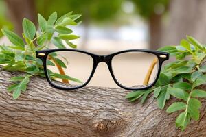 Black glasses resting on a tree trunk surrounded by green leaves photo