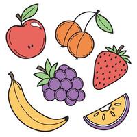 a set of fruit icons with different colors vector