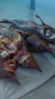 Smoked fish lying on table surface video
