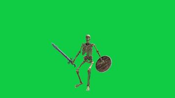 Skeleton with sword and shield 3d render animation, warrior skeleton troops animation isolated on green screen background video