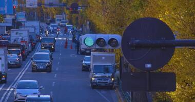 A traffic jam with stop light at city street with yellow leaves in Tokyo in autumn video