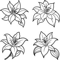 Black and white floral pattern with lily flowers outlines for coloring pages vector