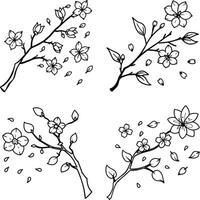 Floral springtime branches with cherry blossoms in black and white line art vector