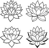 Collection of outlined lotus flowers botanical illustration for coloring or design element vector