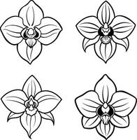 Orchid flower outlines collection artistic floral design elements vector