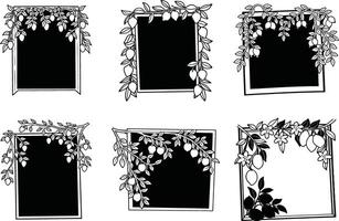 Lemon tree frame set botanical black and white borders vector