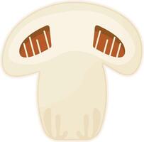 Sliced White Mushroom vector