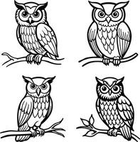 Four black and white owls on branches outline illustration design vector