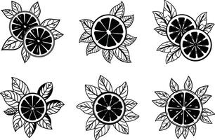 Seamless pattern of black and white citrus slices surrounded by leaves vector