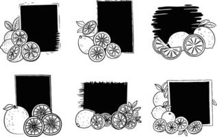 Black and white citrus frame set hand drawn fruit illustrations vector