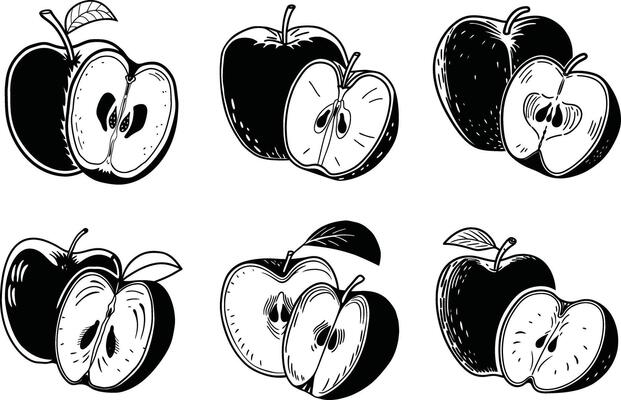 Apple fruit illustration set with halves and leaves hand drawn style