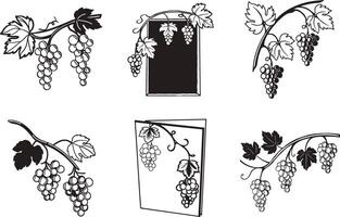 Grapevine silhouette set featuring borders and branches with leaves and clusters vector