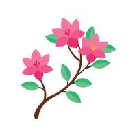 Azalea Flowering Branch Botanical Illustration vector
