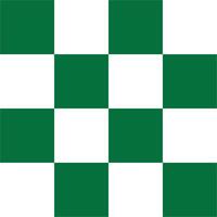 White and green seamless checkered pattern vector