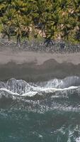 Top-down view of black sand beach, ocean waves, and palm trees in Bali Indonesia. video