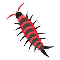 Stylized Centipede Illustration in Red and Black vector