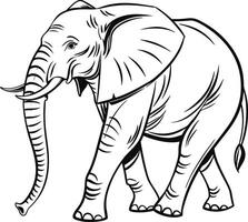 Hand drawn elephant illustration vector