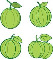 Green Amla with leaves in a flat style vector