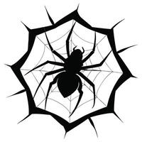 spider and torn web vector
