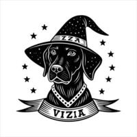 Starry Wizard Hat vector
