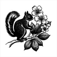 Squirrel Perched Branch vector