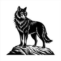 A wolf standing on a rock vector
