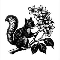 Squirrel perched on a branch vector