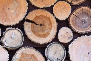 Different round wooden disks as a background on a board photo