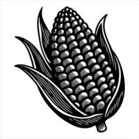 Ear of Corn with Rows vector
