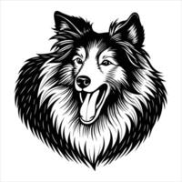 yawning sheltie sleepy expression big vector