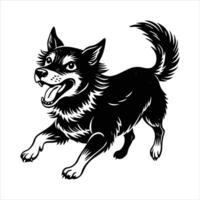 A dog with a black and white face vector